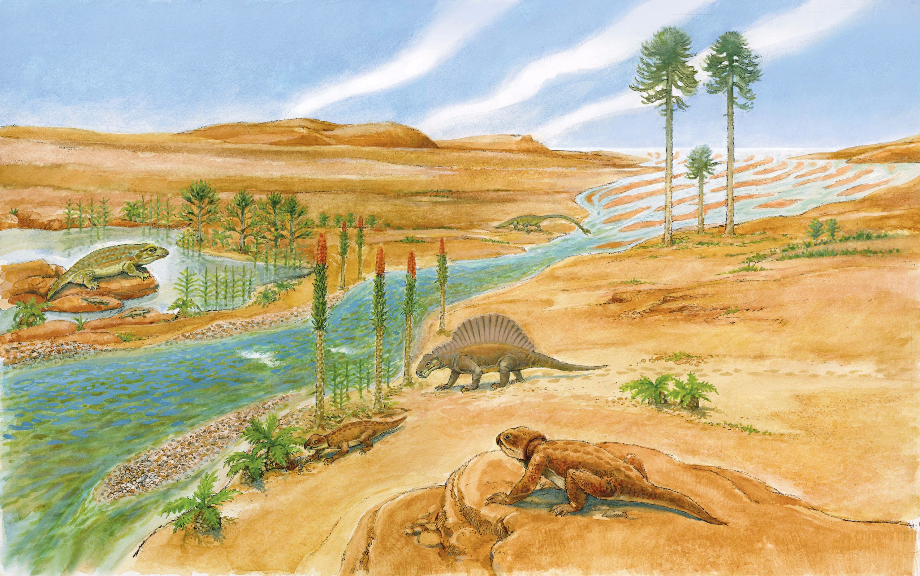 100 млн лет назад какая эра. Триасовый период мезозойской эры. Мезозойская Эра Триас климат. Триасовый период мезозойской эры растительный мир. Триасовый период мезозойской эры климат.